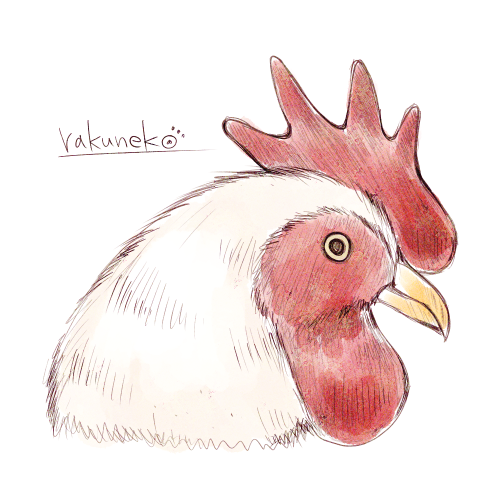 ニワトリのtwitterイラスト検索結果