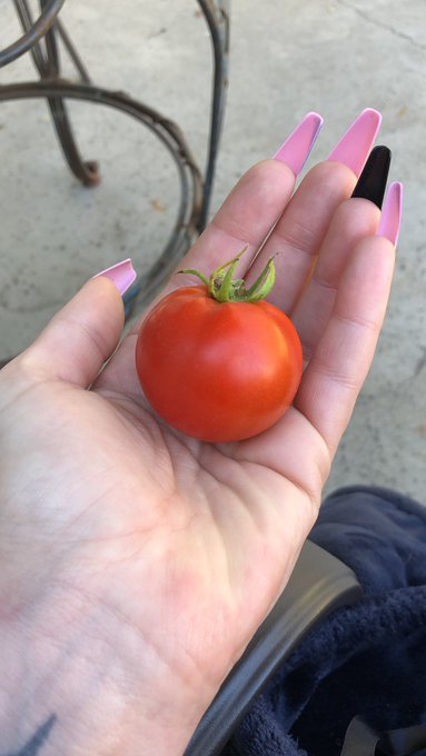 I grew dis. https://t.co/4wiLs3mkre<a href="/tag/mommydomme"class="tags"><span>#mommydomme</span></a>
