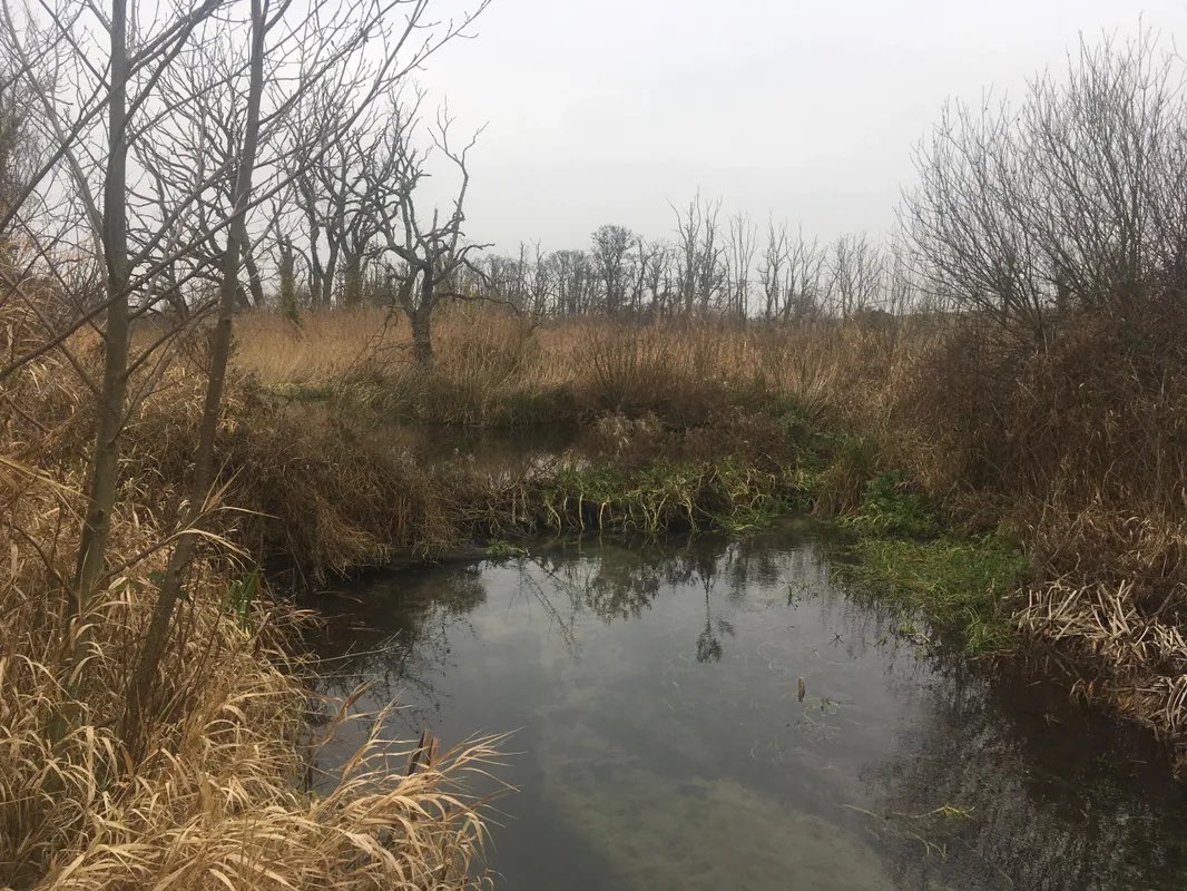 Today I’m voting #TeamBog . Pingos are so unattractive they don’t even have their own pay per view website. Want to see photos of sexy wetlands? Check out our research group’s new page - OnlyFens! #BSGLOL 

onlyfens.co.uk