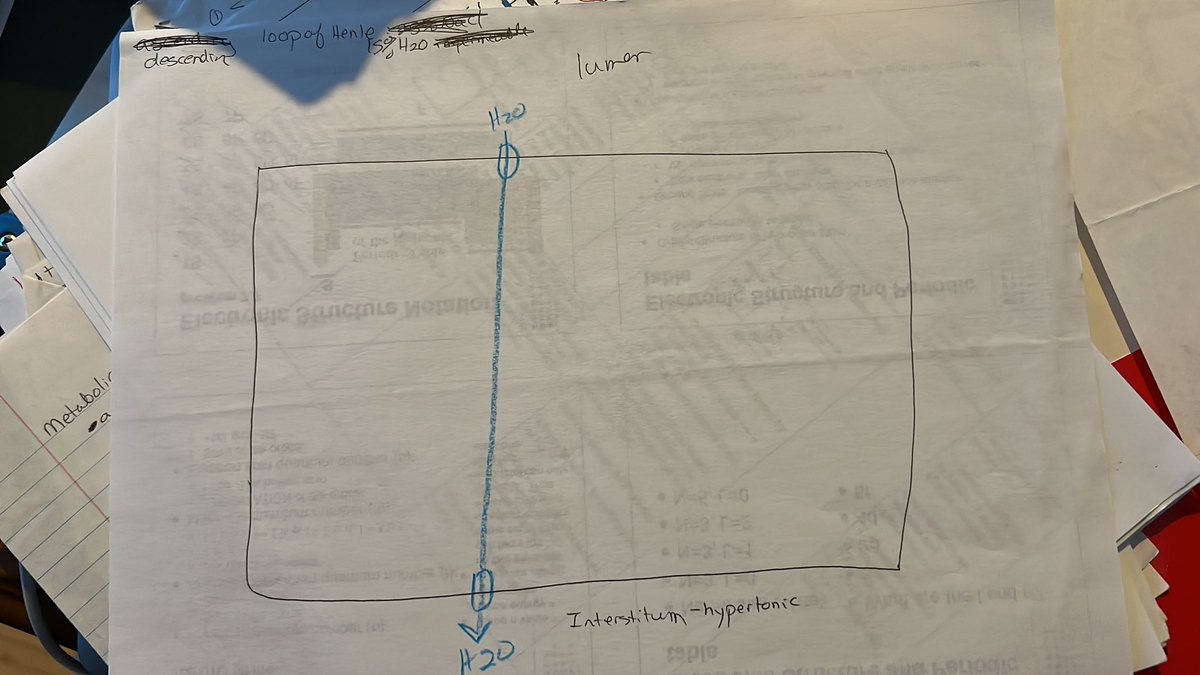 Kristen Rumer tweet media