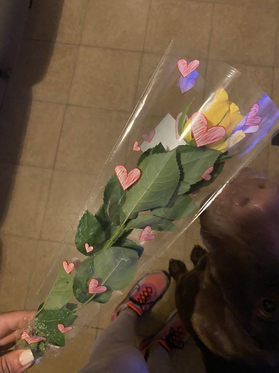 Ya que comienzo 20 días antes de lo previsto a trabajar, que un cliente me traiga una rosa es un puntazo 🥰