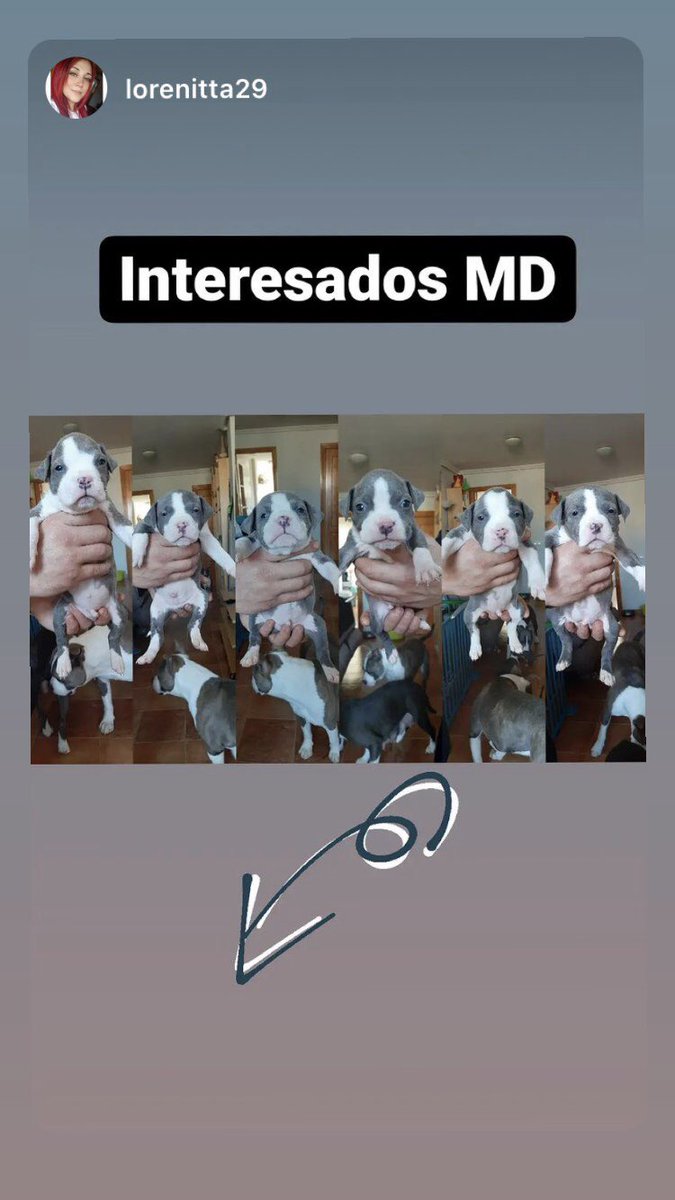 Moni✨✌🏼 tweet media