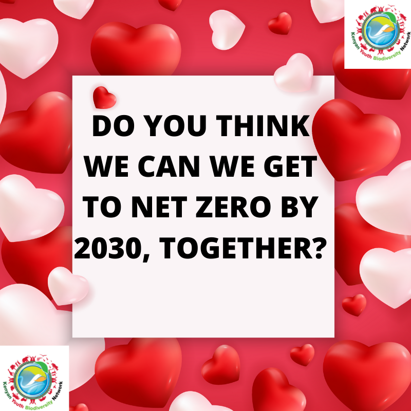 youth_actionke's tweet photo. RING! 
YOUR VALENTINE'S DAY GREEN PICK UP LINES ARE HERE! 

Some hot #ValentinesDay2022 vibes to help cool your atmosphere 😍

Single? Well, share these green pick up lines on your timeline, you never know 😎

#greenpickuplines #ValentinesDayChallenge #GoGreen #SameIsLame https://t.co/RQtNERS1qk