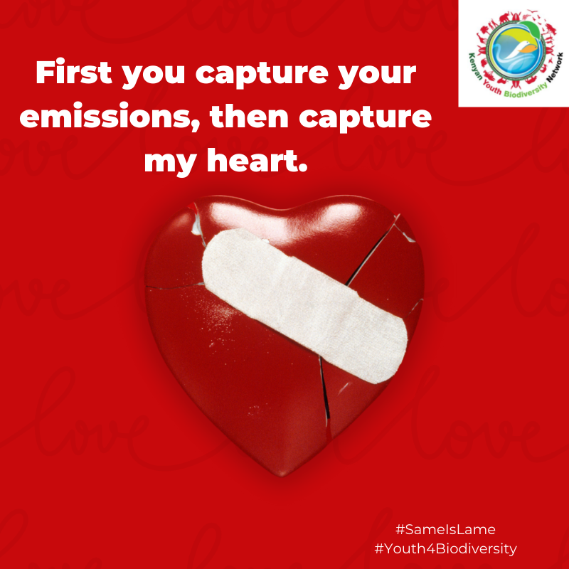 youth_actionke's tweet photo. RING! 
YOUR VALENTINE'S DAY GREEN PICK UP LINES ARE HERE! 

Some hot #ValentinesDay2022 vibes to help cool your atmosphere 😍

Single? Well, share these green pick up lines on your timeline, you never know 😎

#greenpickuplines #ValentinesDayChallenge #GoGreen #SameIsLame https://t.co/RQtNERS1qk