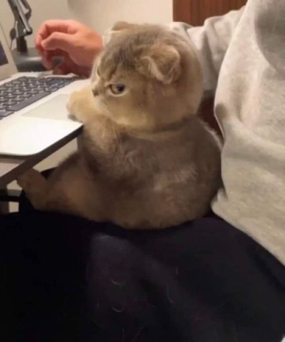 I ain't Kareem Abdul-Jabbar tweet media