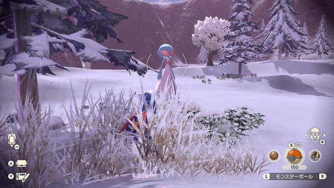 マジで!?!?!?
 #PokemonLEGENDS #NintendoSwitch 