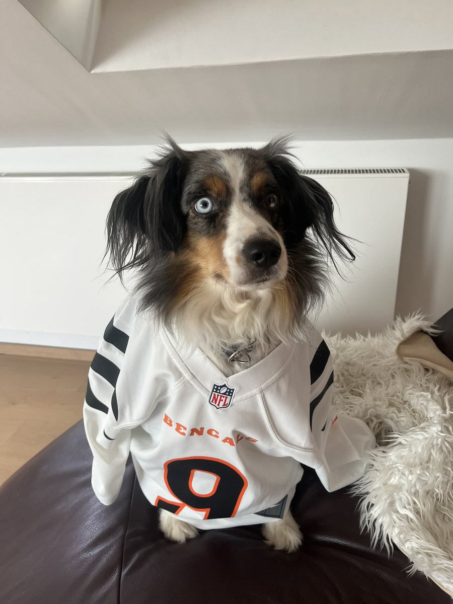 Let‘s go #Bengals #ranNFL