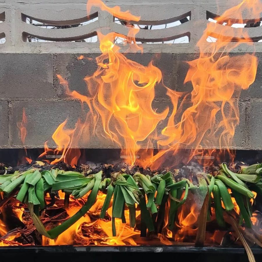 La mejor manera de asar calçots.
.
.
.
#calsotsacasa #cataloniafoodexperience #calçotsadomicilio #calsotsadomicilio #catalunyaexperience #festesdecatalunya #calçotada #buenamesa #calçotadaencasa #tiempodecalçots #temporadadecalçots #calçotsdetemporada
