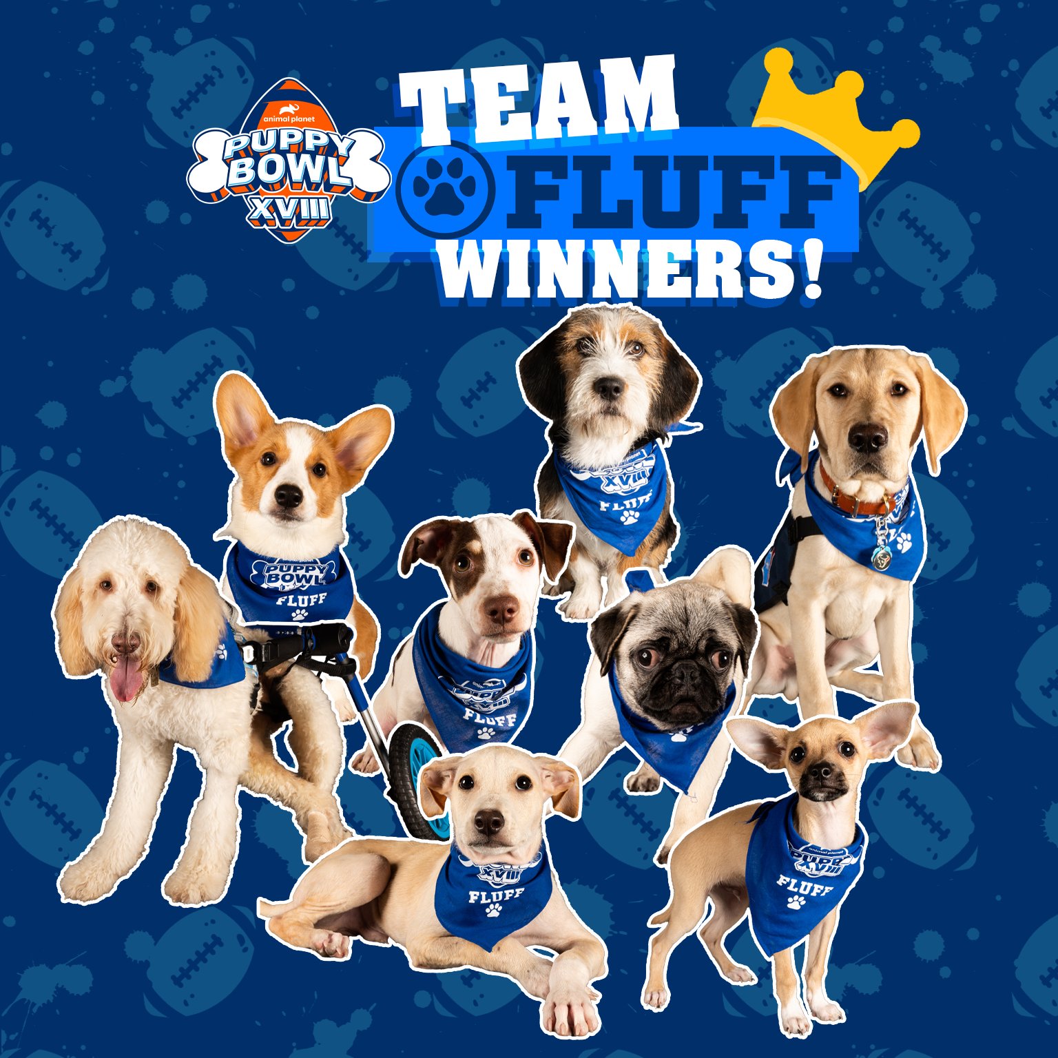 Team fluff store puppy bowl