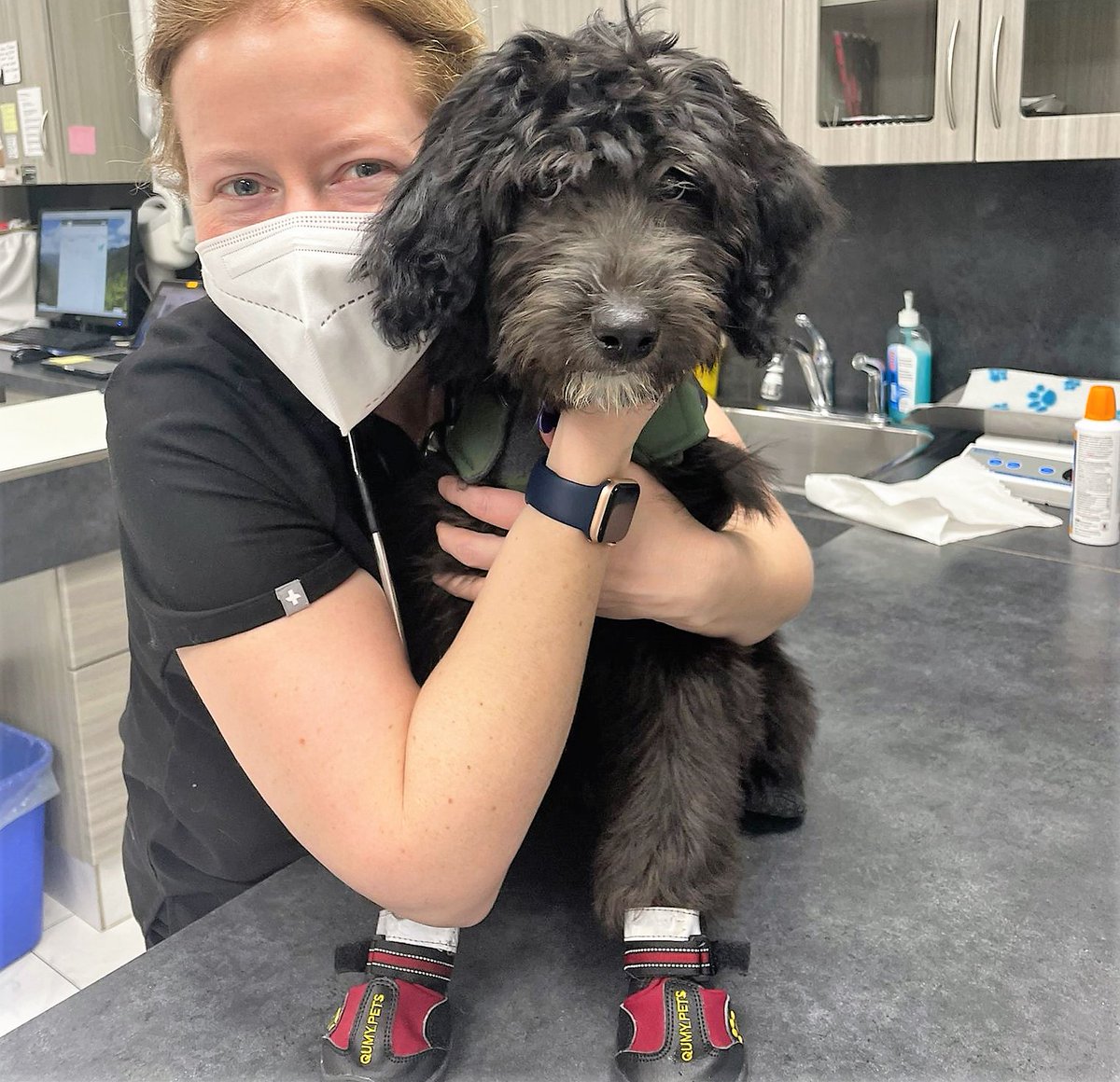 DrEllenKinzl's tweet image. Insider secrets: When your pet is with us in the back room, they're probably getting more snuggles than you realize - as demonstrated here by the gorgeous Murphy! 
.
.
#torontodogs #veterinarians #greatshoes #dogFOTD #libertyvillage #snuggleup