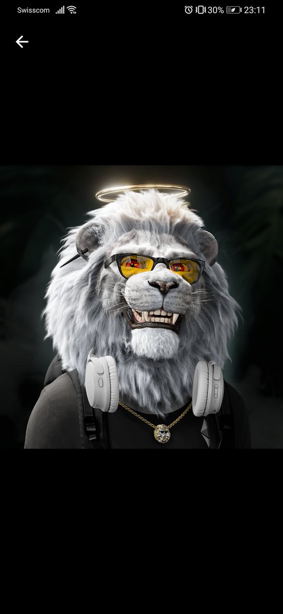 J_M1904's tweet photo. #LLCTribe my Lion 😍🔥🔥@Lucky_Lion_Club https://t.co/PDQH5Dyp9w