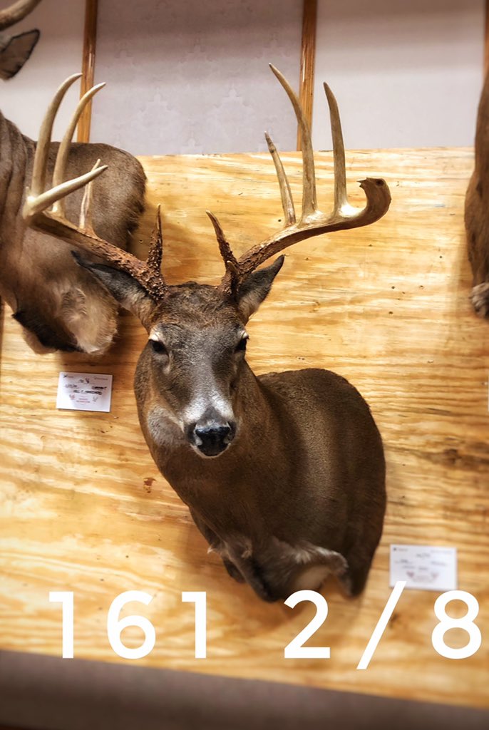 Weston Garey (@gareyweston) on Twitter photo 