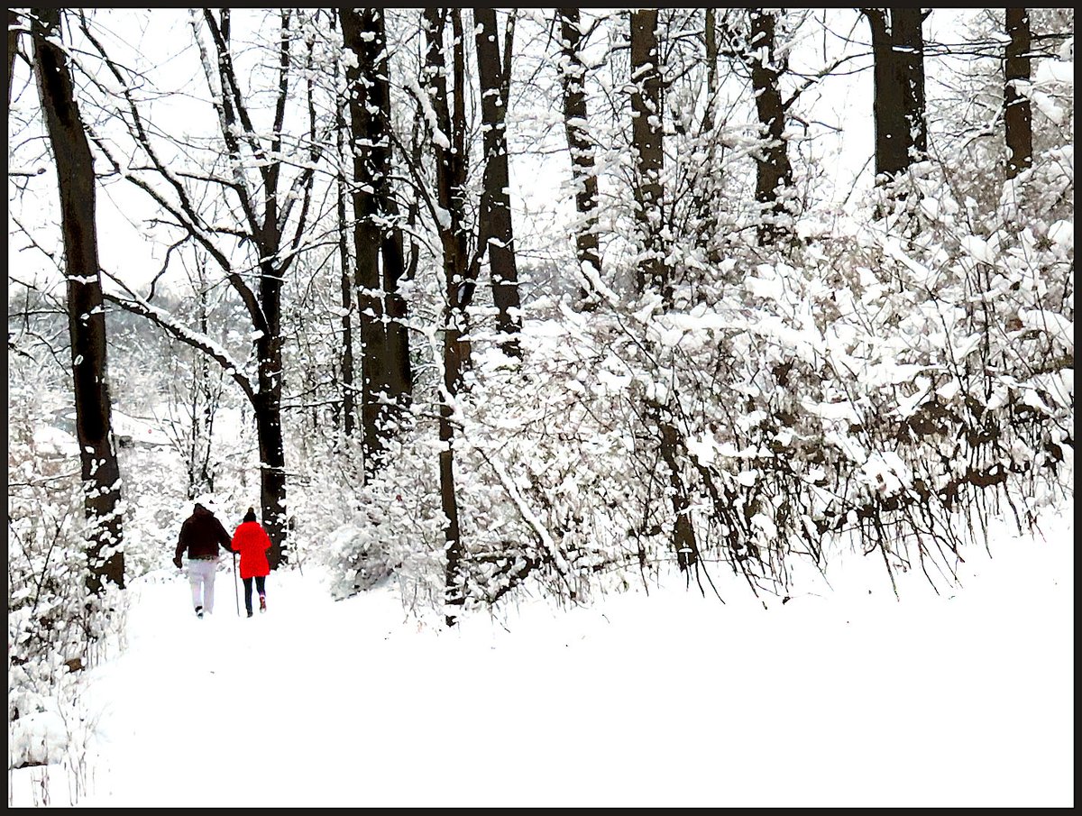 bilbowden's tweet image. What do you call Sunday's light, fluffy snow? York County's Richard M. Nixon Park is laced with short hiking trails winding through thick forests and over hills. The 2-3 inches of  'cotton candy' snow stuck to everything, making the day perfect for a scenic walk. @YorkCountyParks