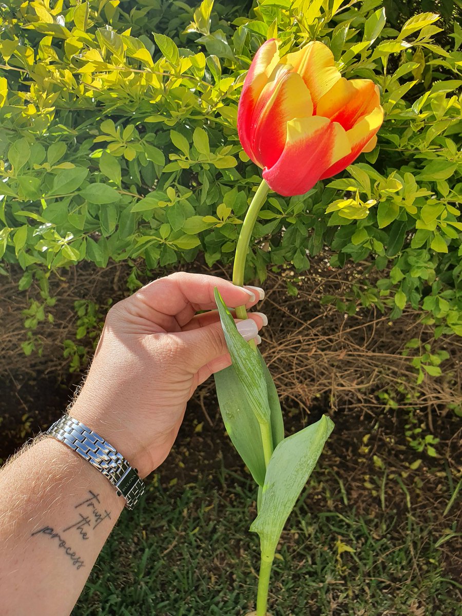 KaluGnlz's tweet photo. Pasó 🥺🌷 https://t.co/MPVpwEYW1l