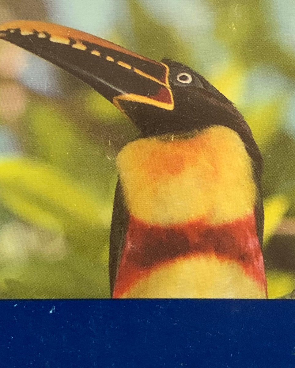 calaba_nfts's tweet photo. New NFTs collection available on OpenSea!
Old Phone Cards - Nature Collection

#NFTs #NFTGame #nftart #NFTCommmunity #NFTartist #NFTCommmunity #nftcollector #NFTProject #Ethereum #Crypto https://t.co/XkmzIp5zKn
