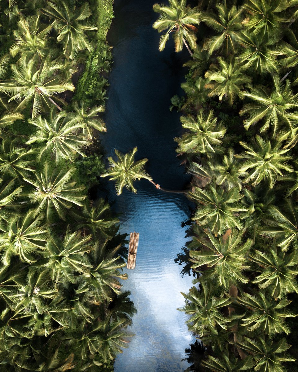 Gm from an oasis of endless palms 🌴 Hope everyone has a great start to the week ✨