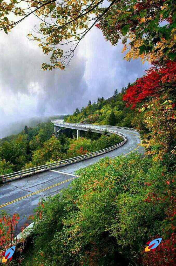 ﺭُﺑﻤَﺎ ﻳَﻜﻮﻥ ﻧَﺼِﻴﺒﻚَ ﻣﻦ ﺍﻟﺪُﻧﻴﺎ ﺃﻥ ﺗُﺤﺐ ﺷﺨﺼﺎً ﻛﻞُ ﺍﻟﻄﺮﻕ ﻻ‌َ ﺗُﺆﺩﻱ ﺇﻟِﻴﻪ 💔

 #عيد_الحب