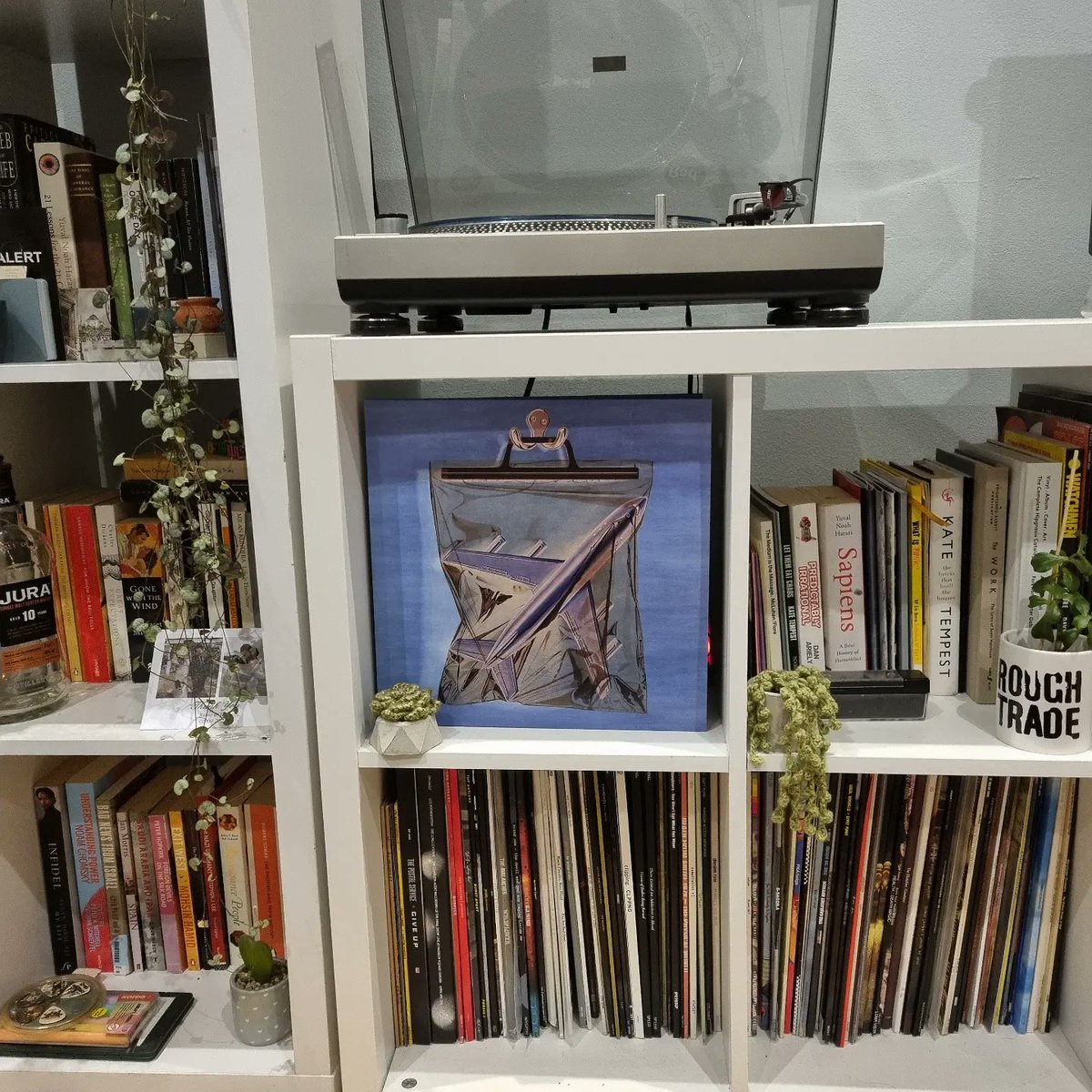 tomkaber's tweet photo. There's a childlike optimism, a naive but hopeful energy that radiates throughout this album that I cannot get enough of
@BCNRband
Ants from up there
#postrock #postpunk #postpunkrevival #BCNR #vinyl #nowspinning #brixton #windmillcore #artrock #progrock https://t.co/zuJ0paQyEI