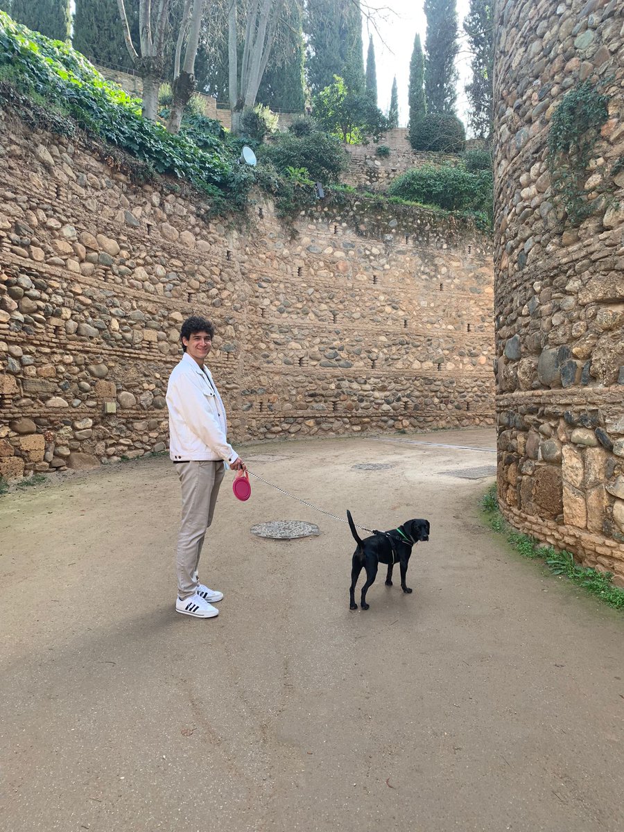 Alvaro620_'s tweet photo. Día fantástico en familia🐶🐶 https://t.co/V2I0IQK8R6