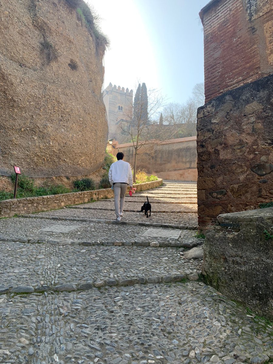 Alvaro620_'s tweet photo. Día fantástico en familia🐶🐶 https://t.co/V2I0IQK8R6