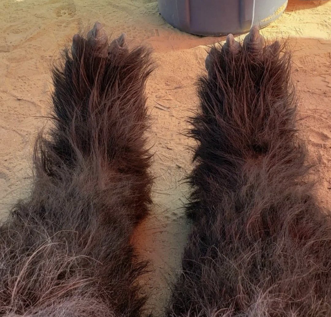 ‍‍ ‍ ‍‍ ‍‍ 𝐁𝐋𝐀𝐂𝐊 ‍𝙺͟𝚁͟𝚁͟𝚂͟𝙰͟𝙽͟𝚃͟𝙰͟𝙽͟ (@blackrrsantan) on Twitter photo 