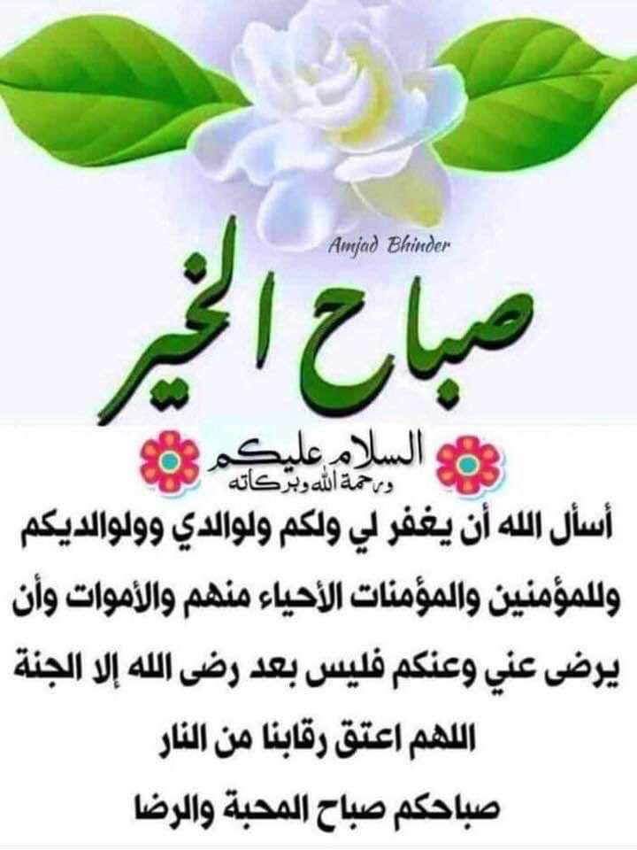 أم الانوار🇸🇦🌹❌الخاص ممنوع ❌ (@1234amap) on Twitter photo 