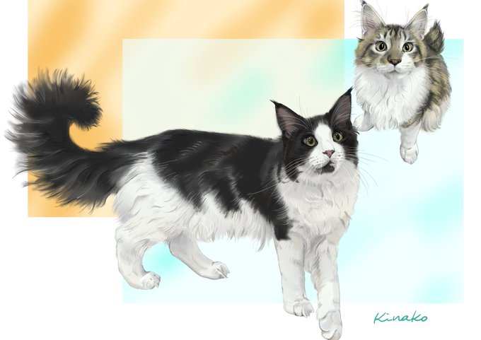 メインクーンのtwitterイラスト検索結果 古い順