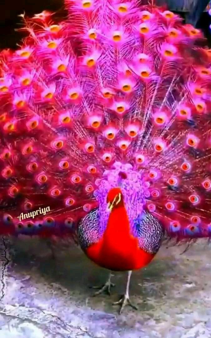 Musa78461032's tweet photo. @DJSgqemeza Happy day.2.all.these https://t.co/xvp5I0B6K6 https://t.co/11AKNXgCH4 safe&amp;.protected https://t.co/IPR22c7dRk