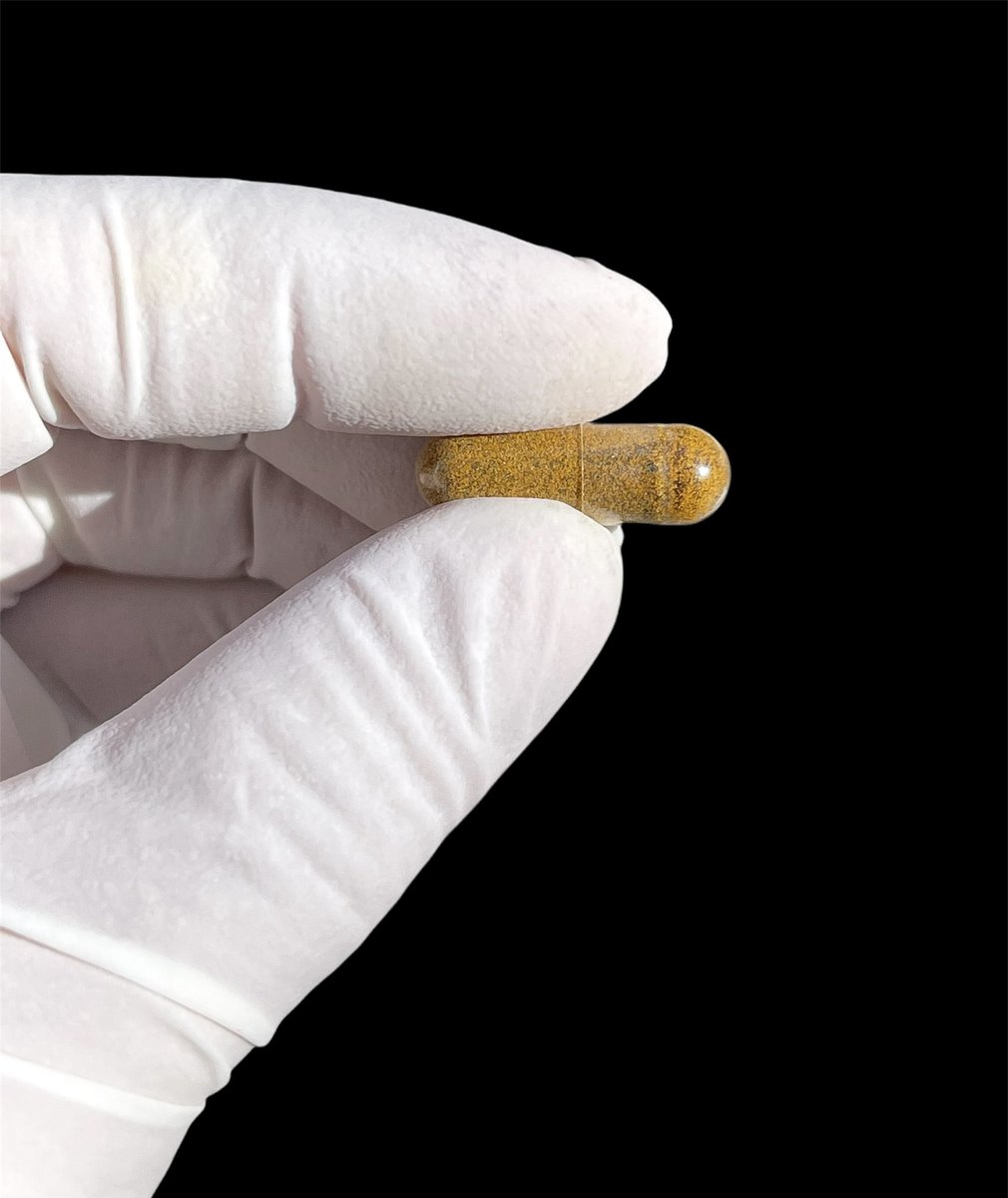 🌱Trichomes🌱
.
Trichomes are a resinous gland found on a variety of plant species throughout the world. The main functions of these  structures is to deter pests, weather and unwanted interaction throughout the plant’s lifecycle. #hemp #trichomes #cbd #life #ConsciousPlanet