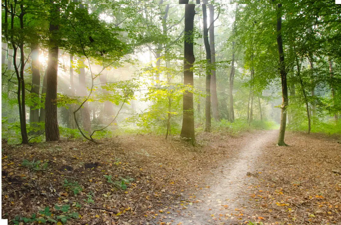SarahLynneCR's tweet photo. Have you ever wondered where you are on the path God has for your life? Learn more here: https://t.co/Q4cj2k5XP5 via @SarahGeringer #yourlifepath #goGodsway #thenextstep https://t.co/GpbeUYezsg