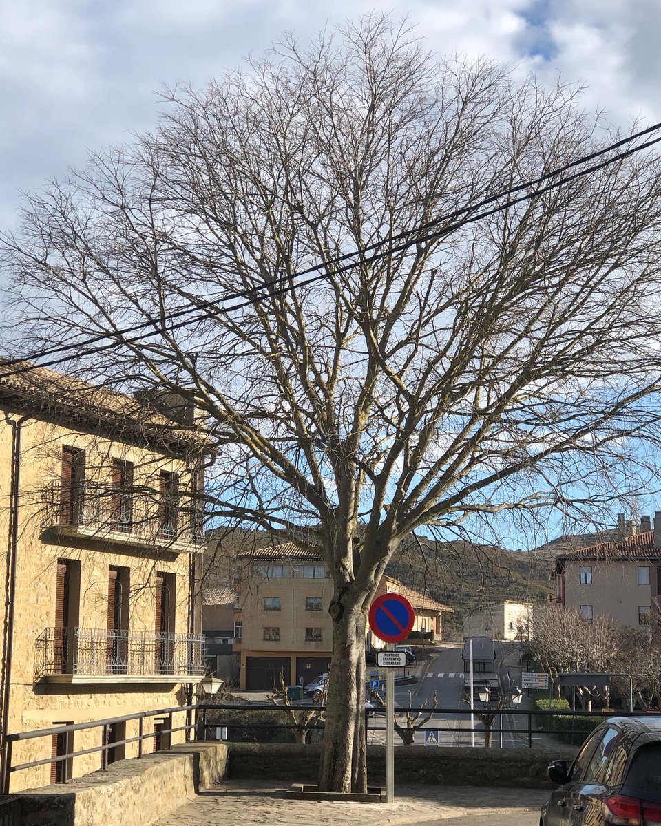 Prohibido estacionar. Punto de encuentro ciudadano. <a href="/AytoSos/">Sos del Rey Católico</a> 
#seguridadvial
#ParticipaciónCiudadana
#Respetando
#Mejorandocadadia
#MejorandoSos