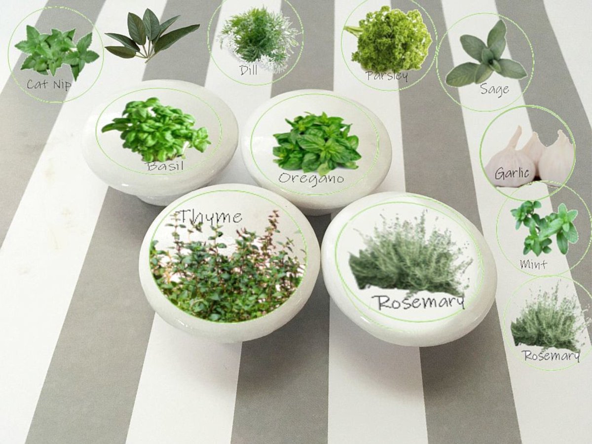 ruralgals's tweet image. Smart Buys! White Ceramic Knobs, Green &amp;amp; Leafy Kitchen Herbs, Kitchen Cabinet Hardware, Cabinet Knobs, Sets of 4 or 6, 2 Knob Sizes, Kitchen Decor starting from $20.74 at etsy.com/listing/107539… See more. 🤓 #DecorativeKnobs #knobs