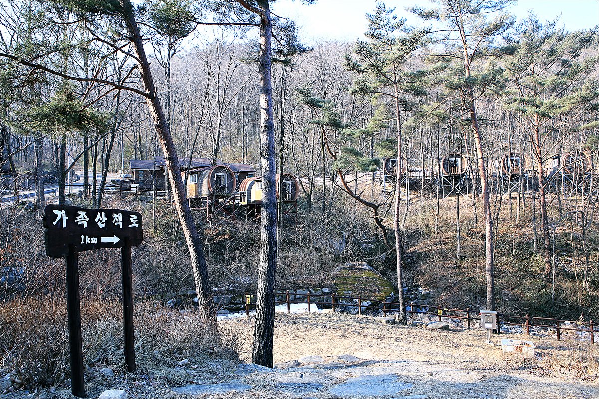 gumksl's tweet photo. #문경대야산자연휴양림

산림청 국립대야산자연휴양림에서 숲 체험로를 산책했어요. 

파란 조릿대가 나풀 거리고 가랑잎에 눈이 덮여 있어 겨울과 봄이 공존하는듯, 대야산 자연휴양림은 아직도 깊은 겨울잠을 작도 있네요

#산림청
#국립대야산자연휴양림
#숲체험로
 #가족산책로
#문경여행
#문경시 https://t.co/osNU8gVKj2