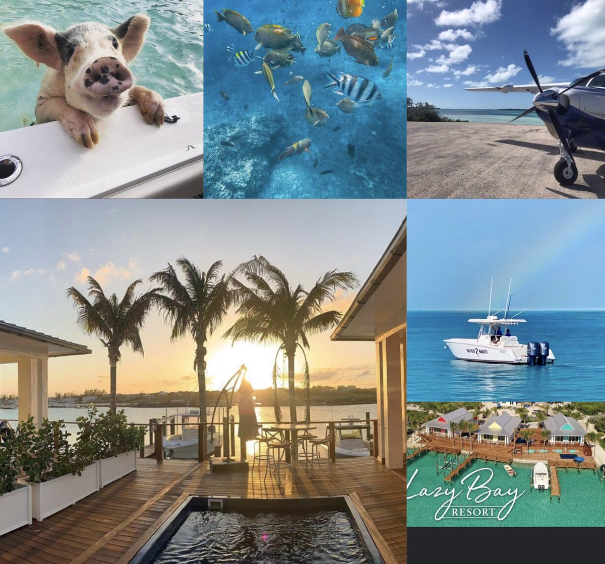 StanielAir's tweet photo. In the end, we only regret the vacations we didn’t take https://t.co/uqgHw47vP2 🌴 ☀️ 🏖 
#vacation #stanielair #stanielrental #stanielcay #exumas #exumasbahamas #island #beach #bahamas #paradise #travel https://t.co/5IqWWJfPTN