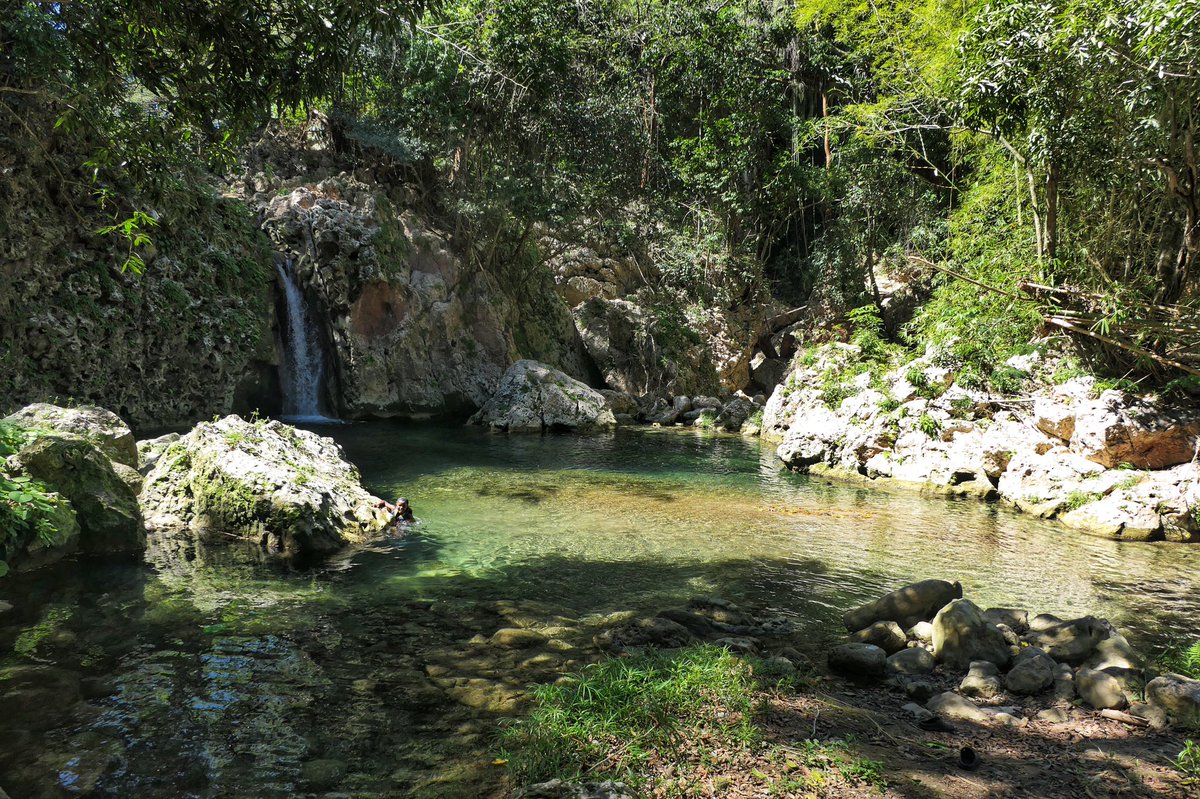 LaavaRoyal's tweet photo. “Bring me water, water for my mind.”
#riverside #oriyeyeo #jamaica #mermaid #rivermumma #laavaroyal #trampoo https://t.co/8Kv2f5HvEF