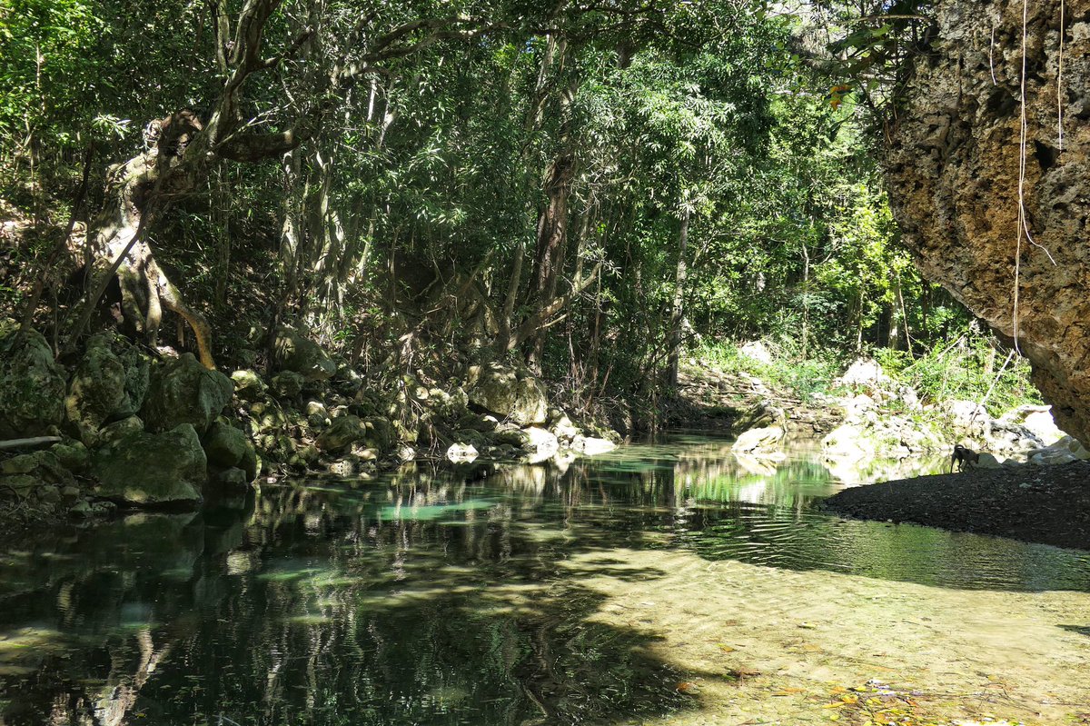 LaavaRoyal's tweet photo. “Bring me water, water for my mind.”
#riverside #oriyeyeo #jamaica #mermaid #rivermumma #laavaroyal #trampoo https://t.co/8Kv2f5HvEF