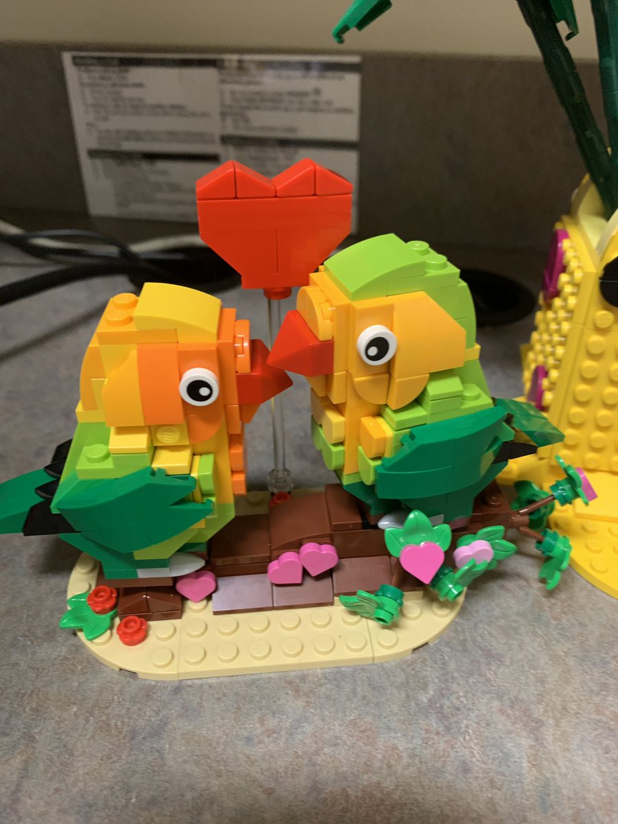 hulkbrarian's tweet photo. π₯Ίπ₯Ί husband surprised me with flowers at work today. Plus some birds and a tiger too! πππ #Lego #ValentinesDay2022 #librarytwitter #LibraryPet #Lucky https://t.co/Ed0cvl7ytM