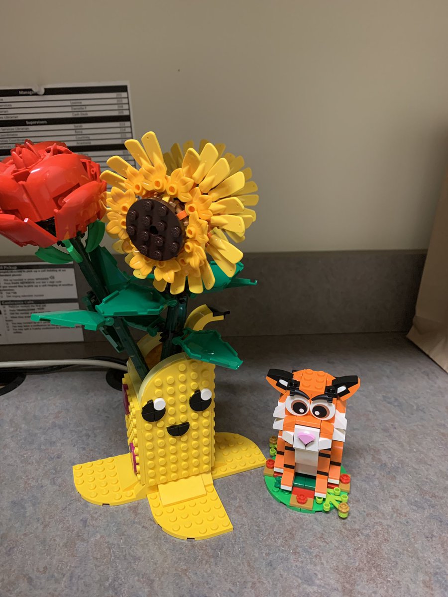 hulkbrarian's tweet photo. π₯Ίπ₯Ί husband surprised me with flowers at work today. Plus some birds and a tiger too! πππ #Lego #ValentinesDay2022 #librarytwitter #LibraryPet #Lucky https://t.co/Ed0cvl7ytM