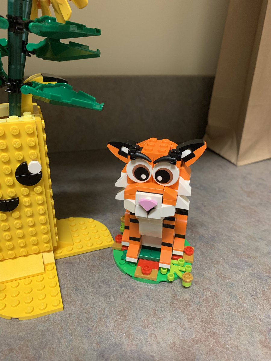 hulkbrarian's tweet photo. π₯Ίπ₯Ί husband surprised me with flowers at work today. Plus some birds and a tiger too! πππ #Lego #ValentinesDay2022 #librarytwitter #LibraryPet #Lucky https://t.co/Ed0cvl7ytM