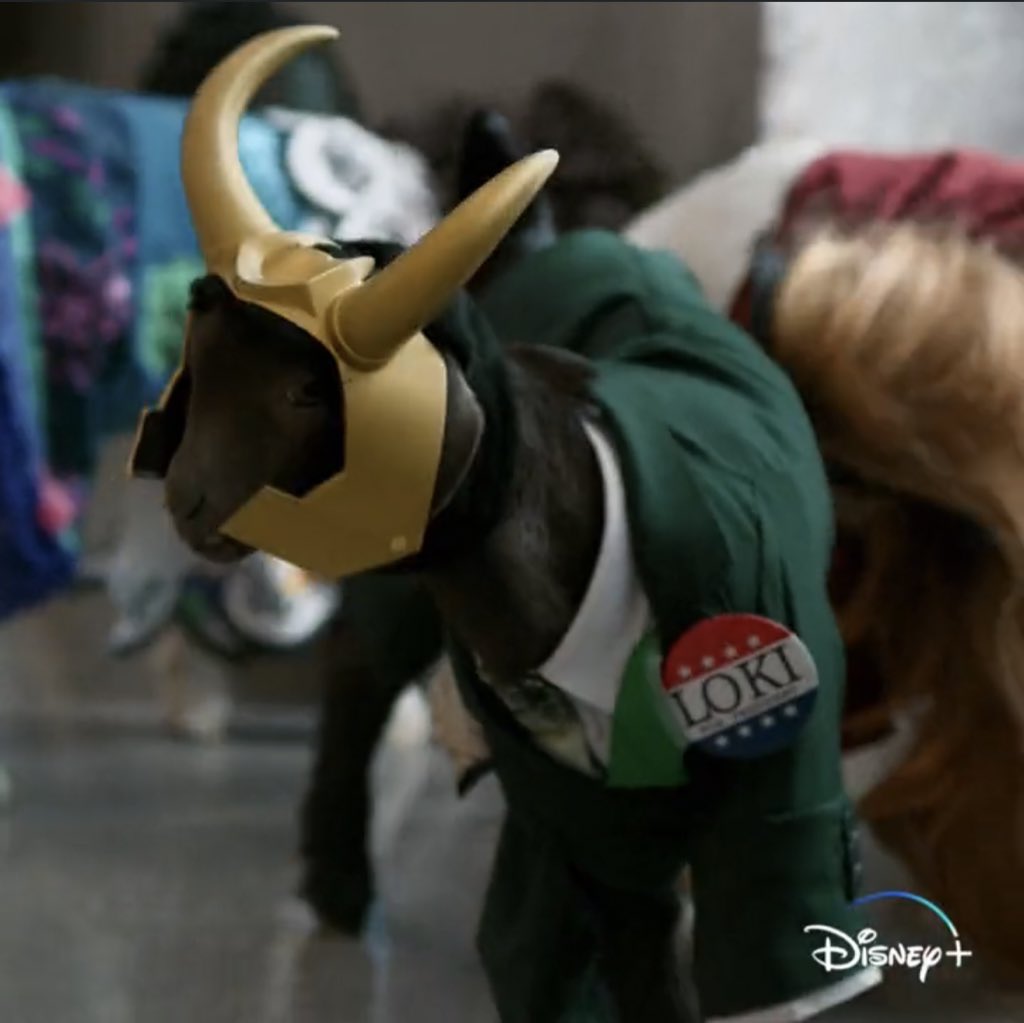 PortalLoki's tweet photo. Boa noite pra vocês com essa cabra vestida de Presidente Loki #MarvelGoats https://t.co/s859i2yzYA