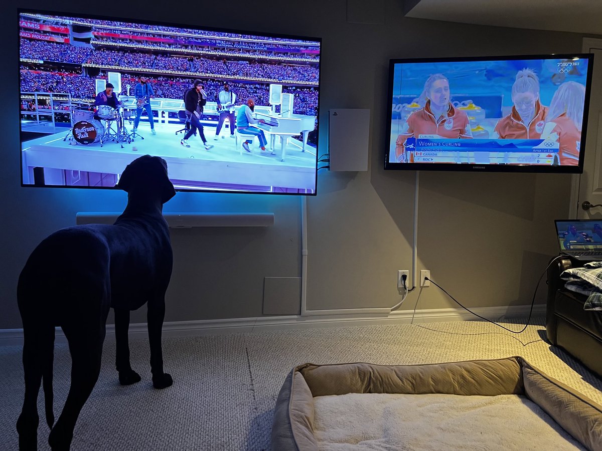 Danielle Inglis tweet media