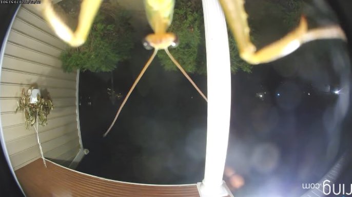 No one: 

50 cent: 

#HalfTimeShow