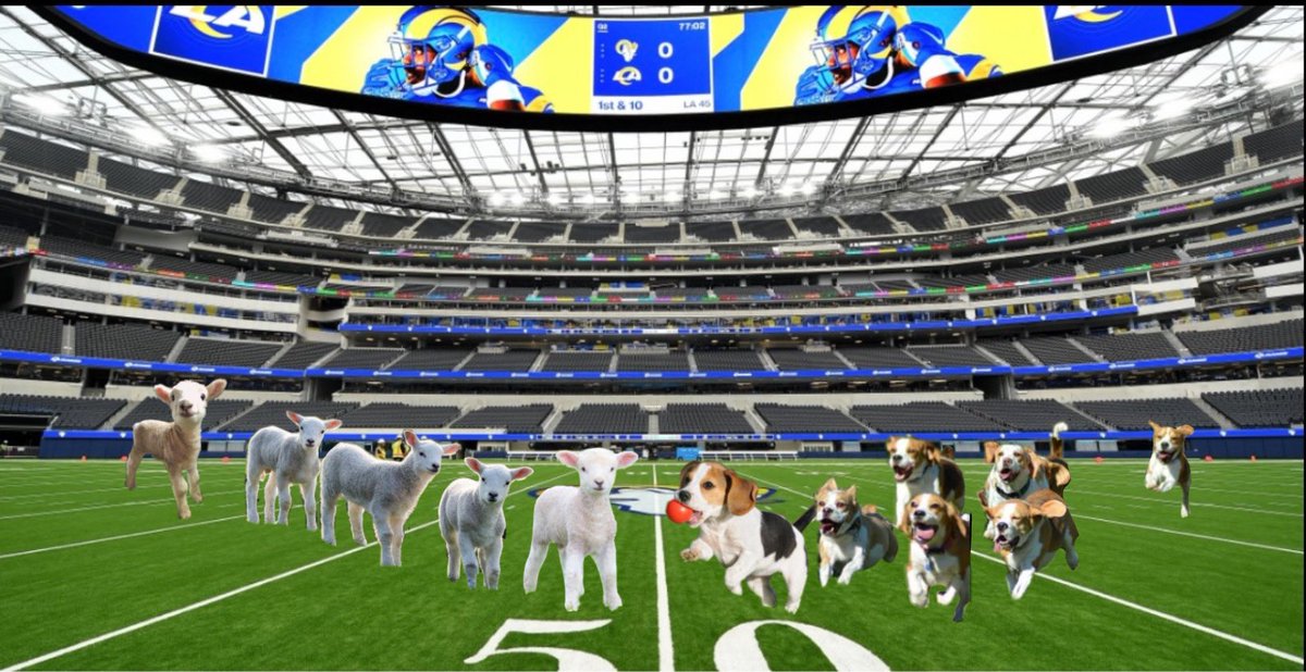 imsomnix's tweet photo. #SuperBowlLVI #SuperBowl 
Something about Rams vs. Beagles? Idk I don’t watch sports https://t.co/sHWp3zhBUo