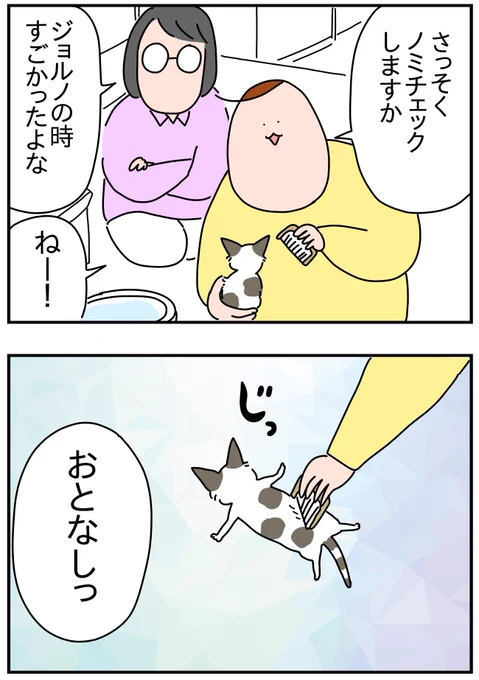 玉美についてたもの
https://t.co/Suv1lqddei 