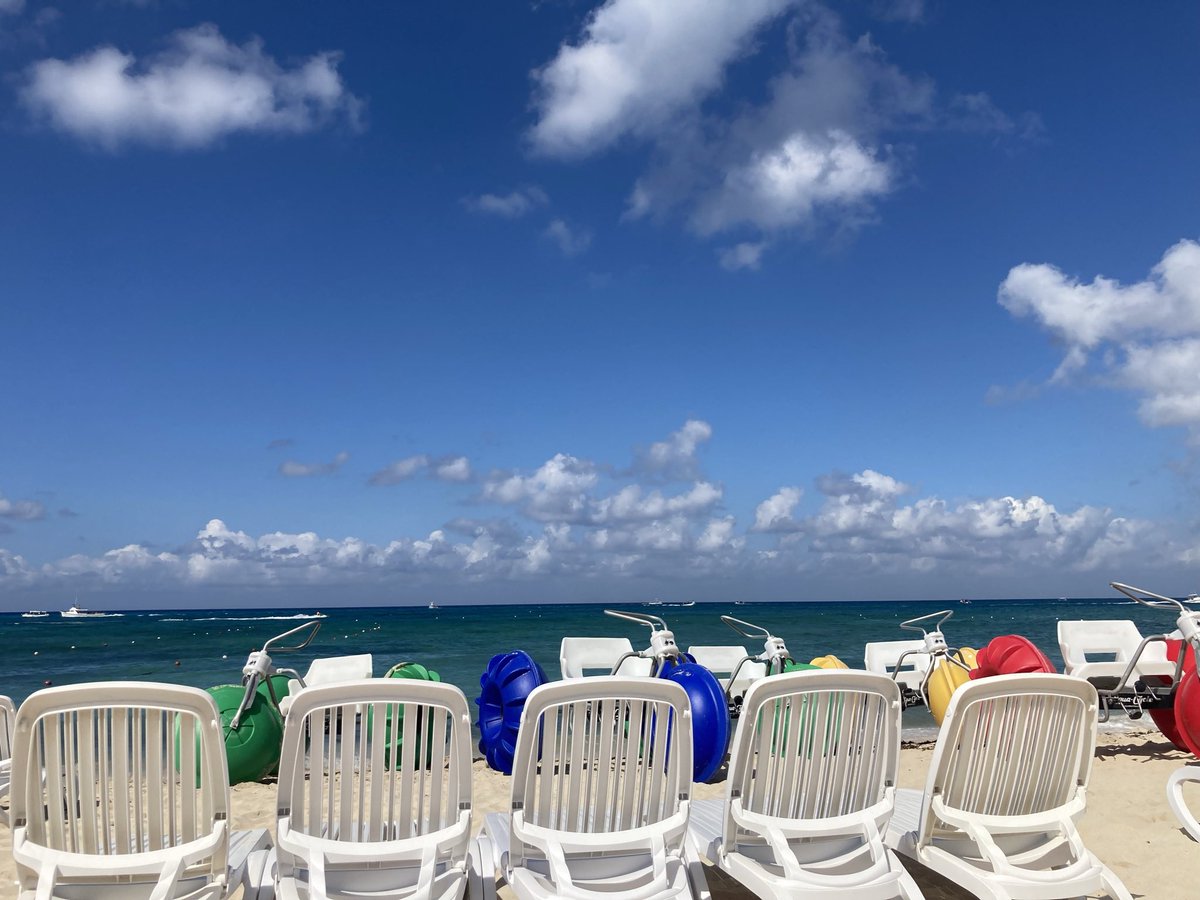 Terry Holler (@teamfoxterry) on Twitter photo 