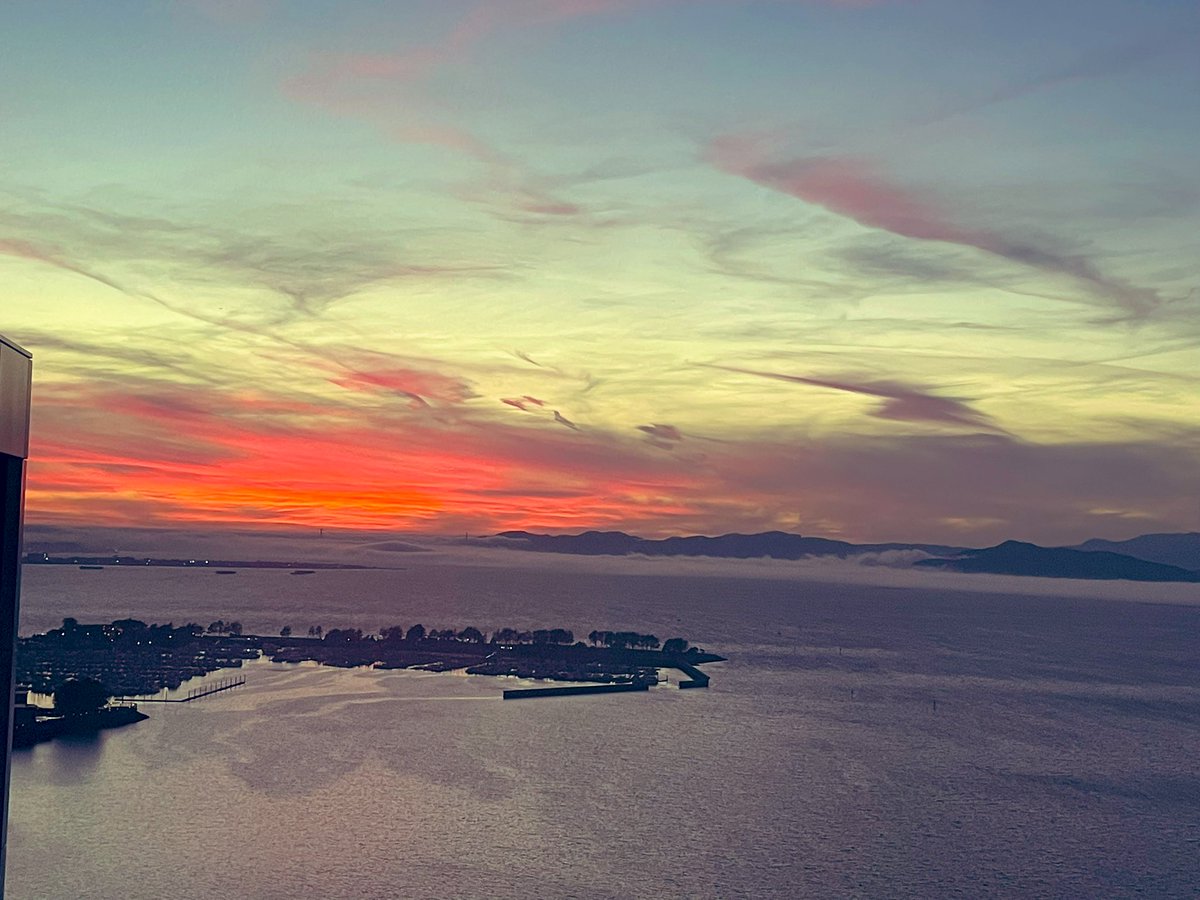 Jenniferadrio's tweet photo. Sunset and @KarlTheFog https://t.co/8PsDvQtyex