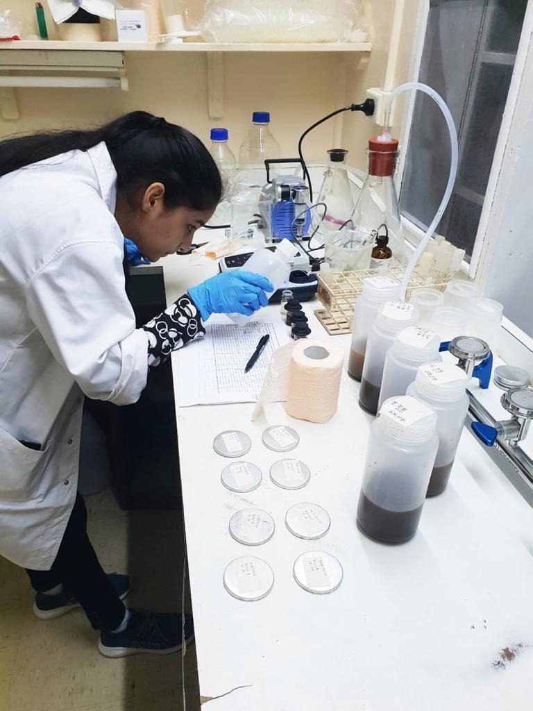 Marise Payne tweet media