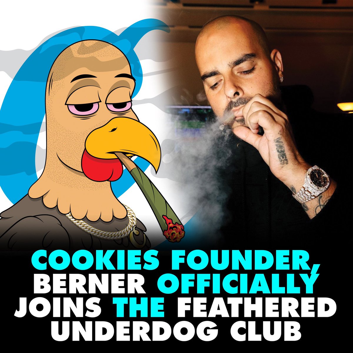 Feathered Underdog Club tweet media