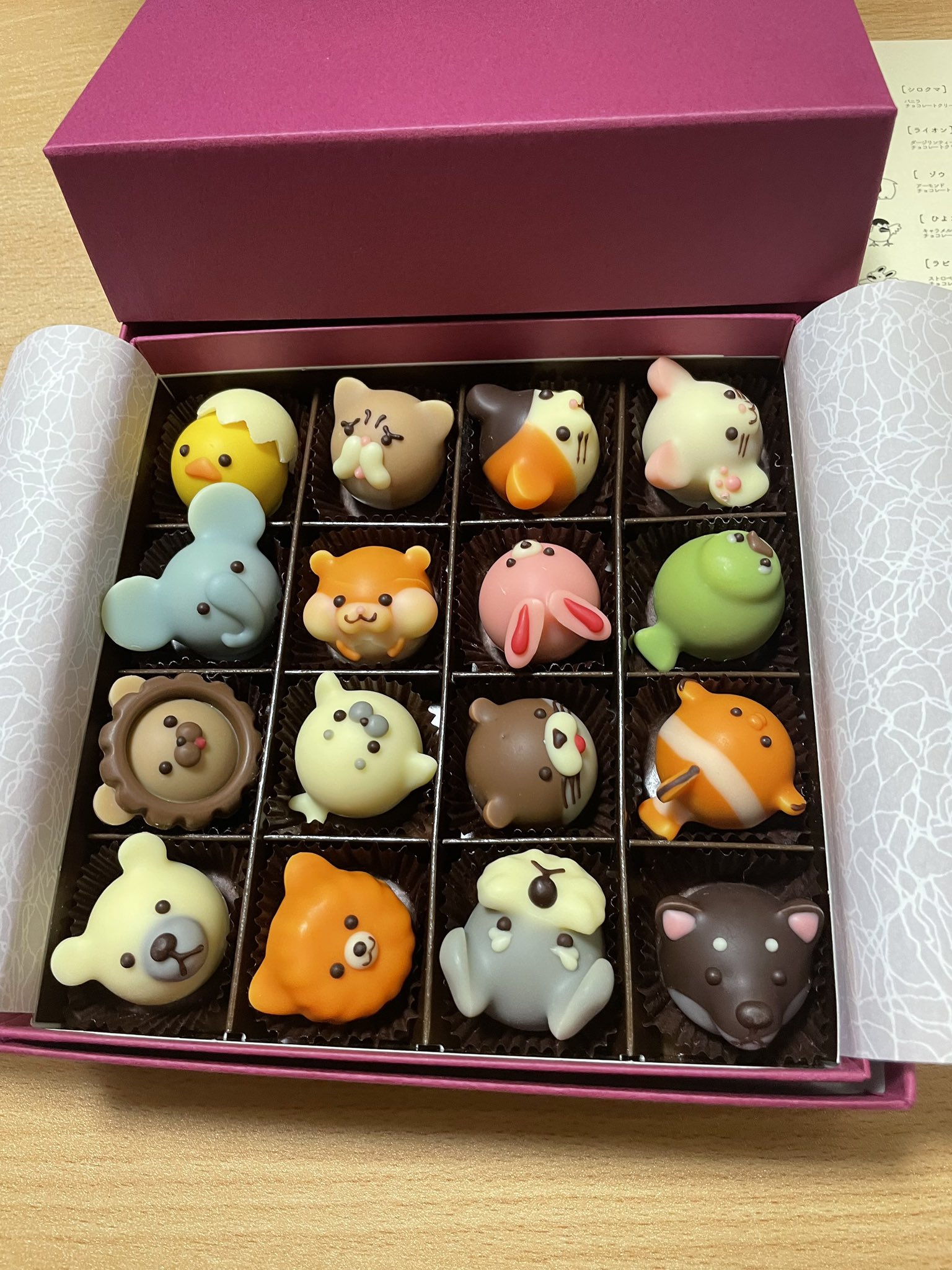 アニマルチョコ Twitter Search Twitter