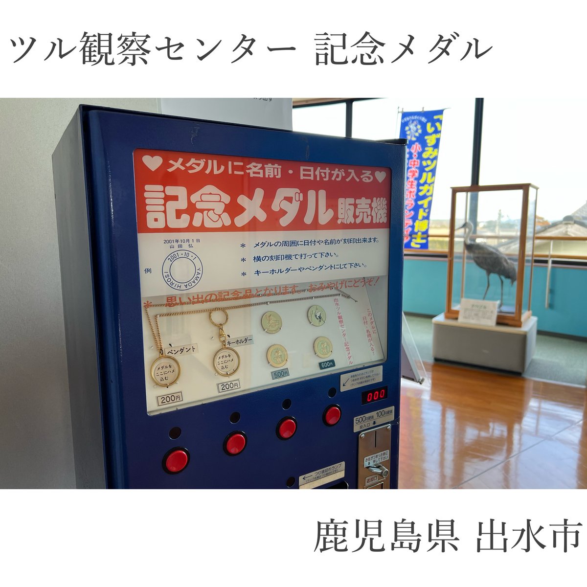ツル観察センター #記念メダル】 #出水市ツル観察センター 2階には今